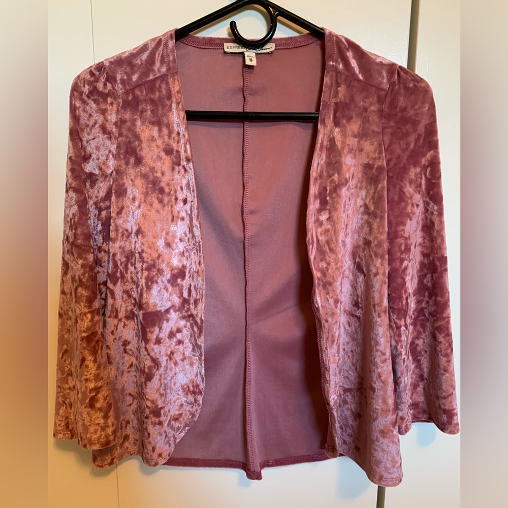 Express velvet blazer
